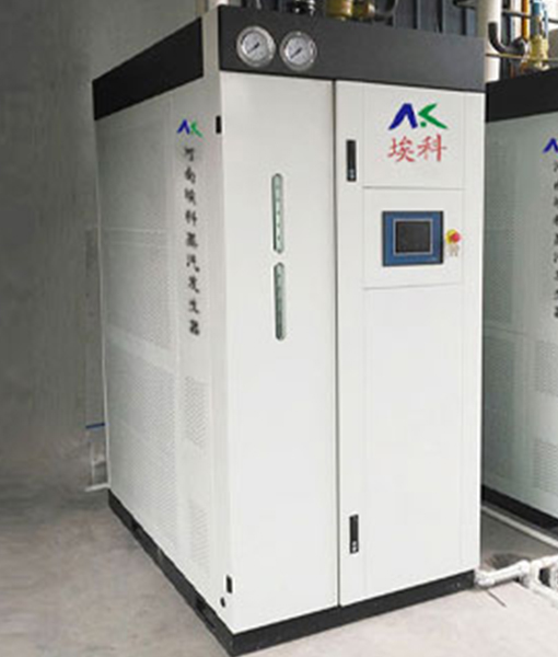 500KG燃气蒸汽发生器