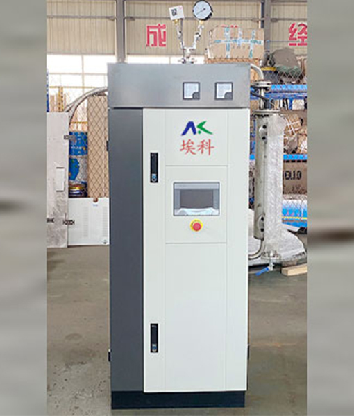 100KG电蒸汽发生器
